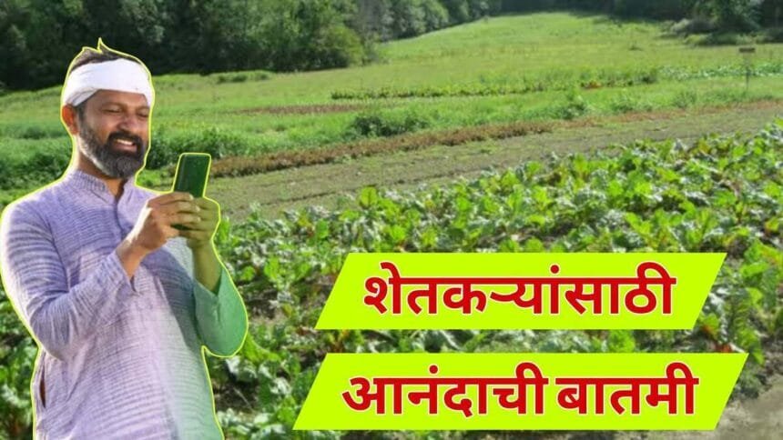 PM Kisan Yojana 19th Installment February 2025 Update