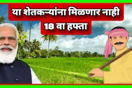 Pm Kisan Yojana 18th Installment Status Check Maharashtra
