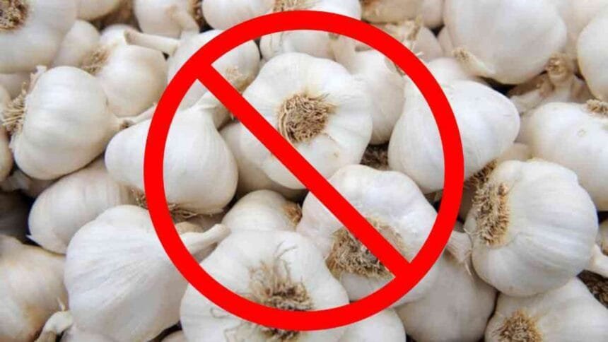Illegal Chinese Garlic In India